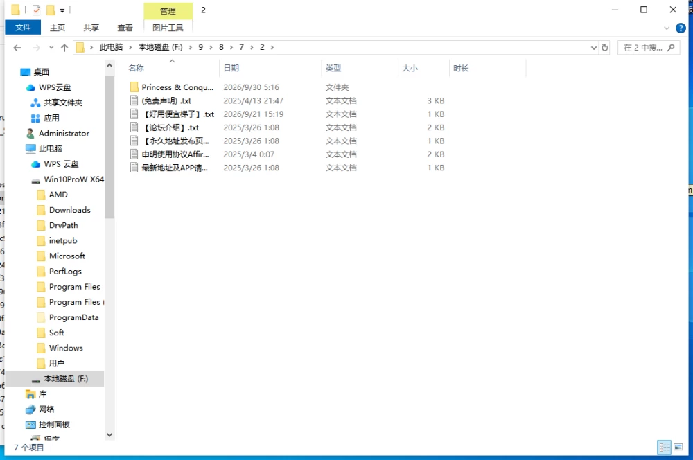 【更新/PC/汉化/RPG/福瑞】公主与征服v1.07 – Patch 2+全DLC [1+2G][百度盘]