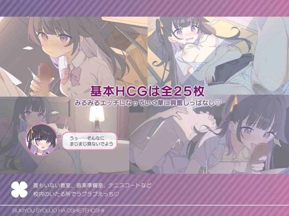 PC–笨拙少女想让你教教她嘛！ 不器用少女は教えてほしい… [1+230M][百度盘]