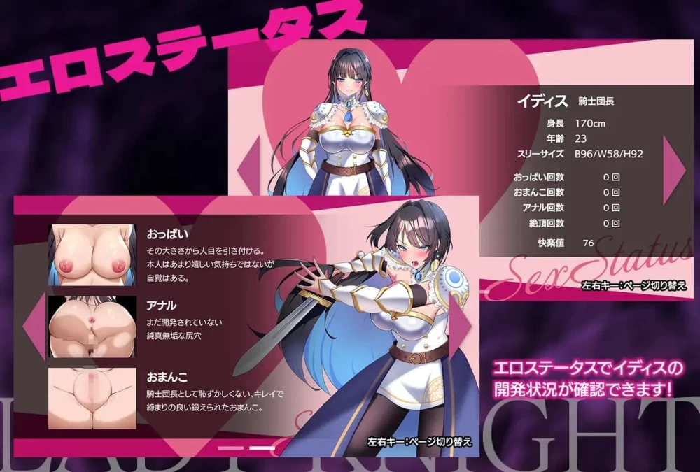 PC+安卓–LadyKnight-淫魔迷宫- レディーナイト-淫魔の迷宮- … [1+805M][百度盘]
