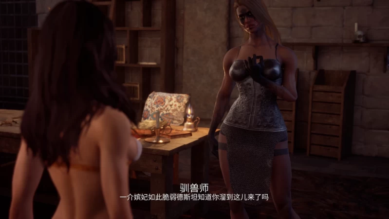 妾室[0.4.8]官方中文版【PC+安卓模拟器+3D大型生存/动作冒险… [1+6.46GB][百度盘]