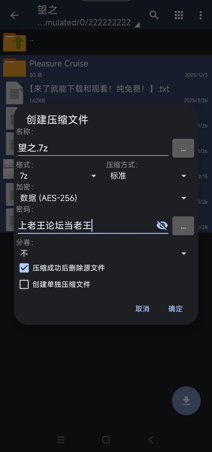 【日式RPG/中文/PC】足下勇者V1.6.0 官方中文版 [1+1.2g][百度盘]