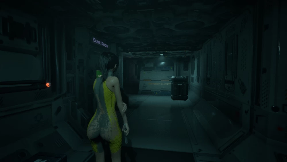 [生肉] 寄生虫回声 Parasite Echo 0.0.55 免费开发版 pc [3+压缩包5g][百度盘]