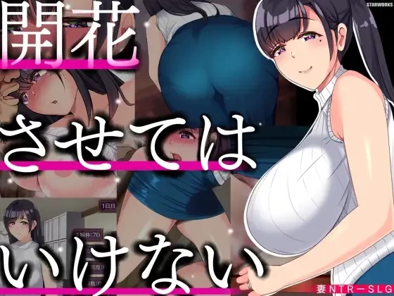 [aop模拟器][日式RPG] 别让它绽放 [1+1g][百度盘]