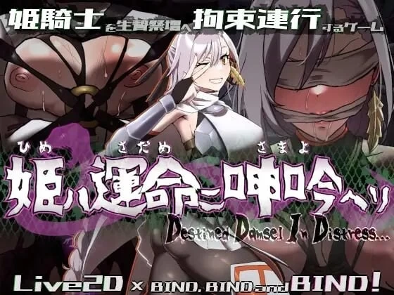 [aop模拟器][爆款ARPG/调教拘束] 命运束缚的公主 v1.0.5 [1+583MB][百度盘]