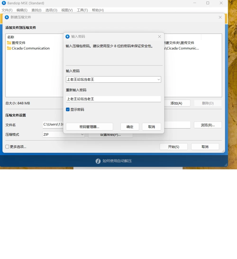 【RPG/官中/像素/PC/SLG】空蝉物语 Cicada Communication v1.301 [1+800M][百度盘]