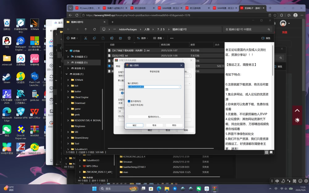 PC/vam人物卡，精神分裂1号，人物卡很好看，但不太戳我 [1+500m][百度盘]