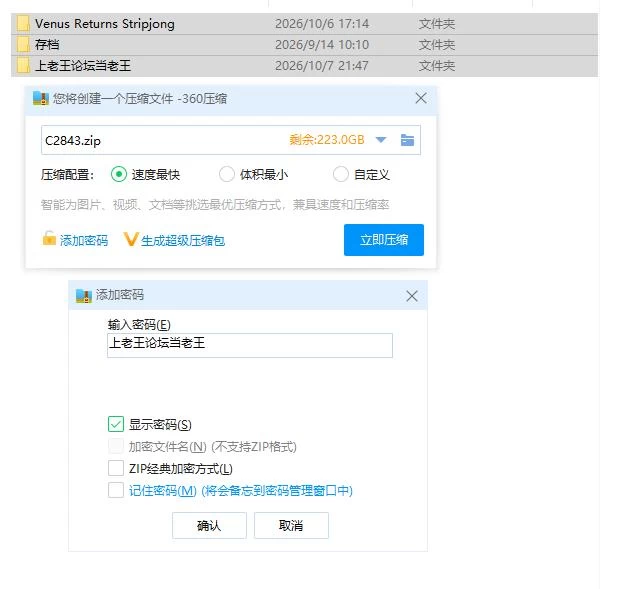 PC-脱衣麻将 – 超真实麻将v1.0.4 官中版+存档 [1+1.64g][百度盘]