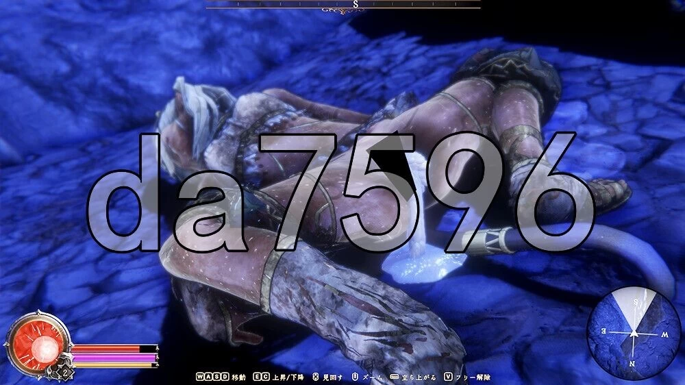 [日式3D/新作] 落日的姬骑士韦佩里特～无论 体験版 官中版 [1+3.10G][百度盘]