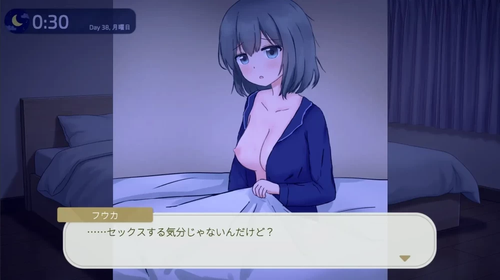 PC/SLG/动态/官中 两人的 某个夜晚 与宠溺女友的初次同居生活 v1.0R [1+1G][百度盘]