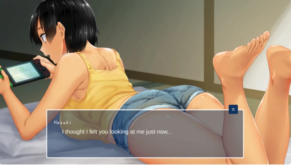 [PC+APK/佳作/官中/全CG/互动/像素动态] 乡间性活[夏+冬]+DLC [1+2.45G][百度盘]