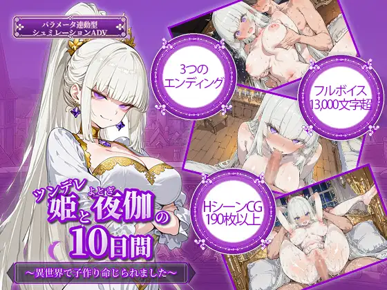 [PC/安卓/SLG]傲娇公主与十日夜伽在异世界被命令生子AI汉化版 [2+1.6G][百度盘]