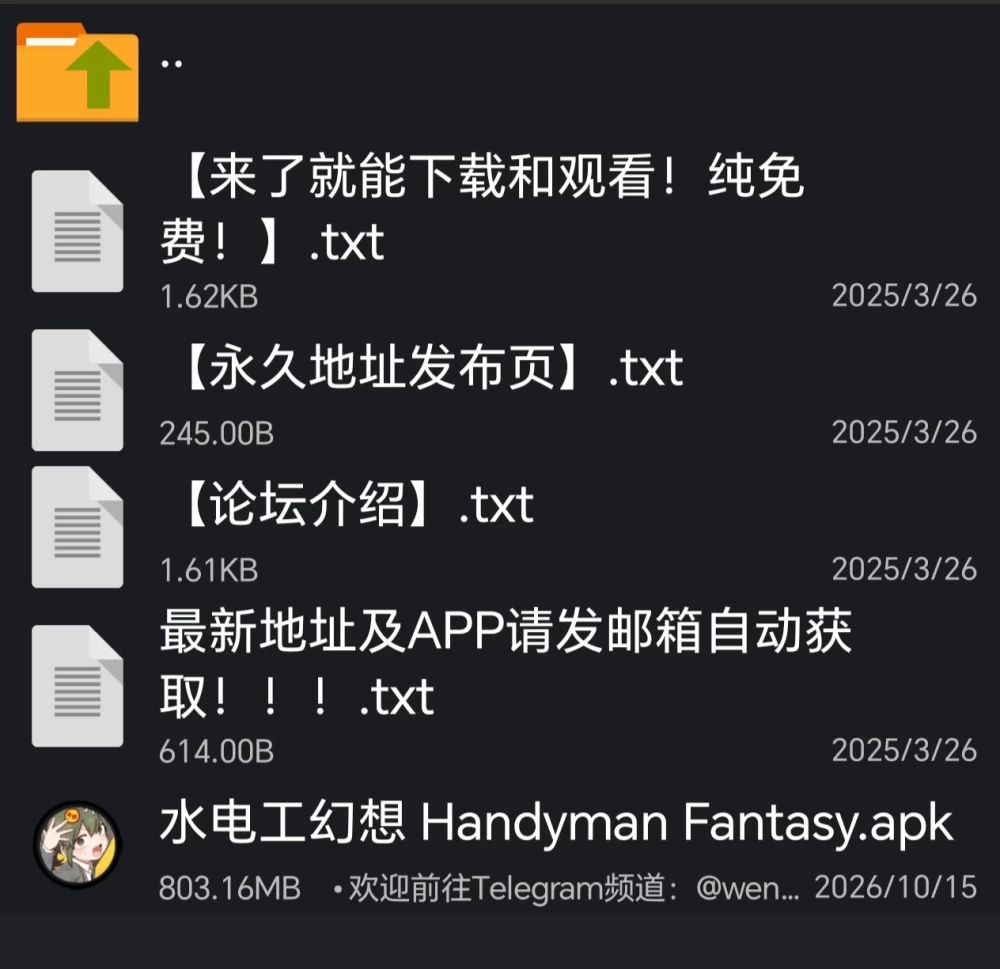 安卓官中，水电工幻想/ハンディマン・ファンタジー，滑稽移植 [1个+794m][百度盘]