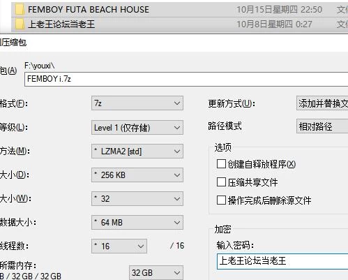 新作SLG 伪娘 扶她 海滩 别墅/FEMBOY FUTA BEACH HOUSE  官中步兵版 [1+1.05G][百度盘]