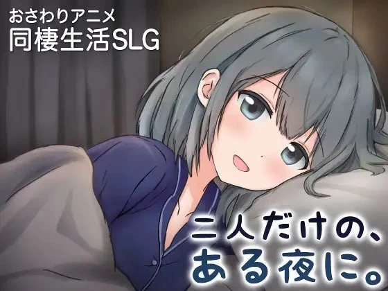 PC/SLG/动态/官中 两人的 某个夜晚 与宠溺女友的初次同居生活 v1.0R [1+1G][百度盘]