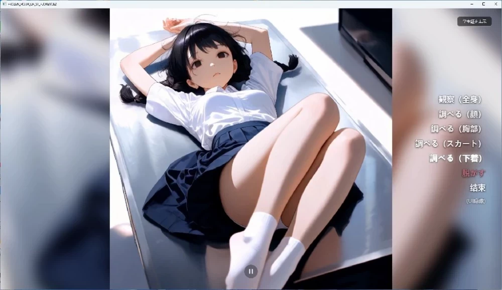 PC安卓【SLG动态】 在时间停止的学校里2 内嵌汉化 回想 [1+5g][百度盘]