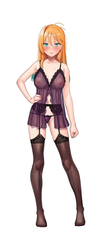 PC【SLG内嵌汉化】 特务搜查官蕾娜 屈辱的娼馆奉仕 体验版 存档 [1+1G][百度盘]