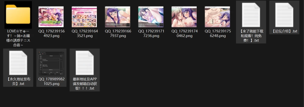 【ADV/巨乳/PC】【lilith soft】LOVE☆でゅーす！～姉×お嬢様の… [1+239mb][百度盘]