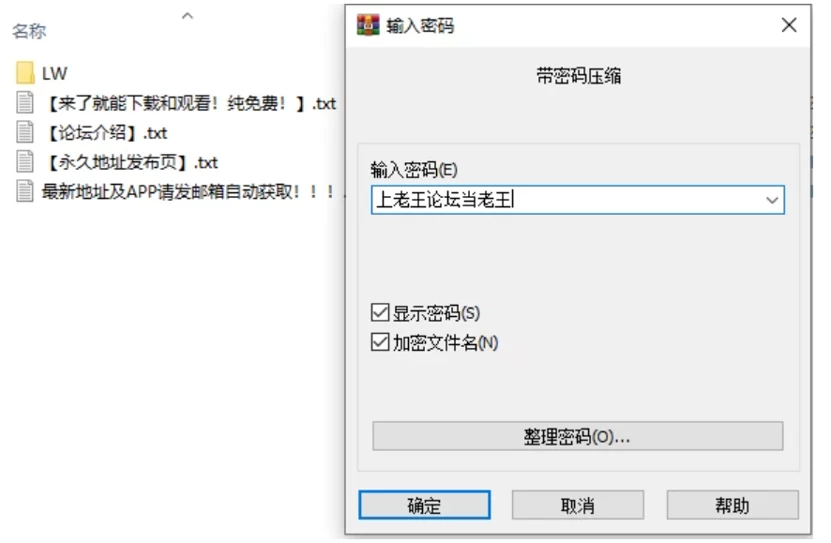 【官中】发光之石：英雄觉醒第七章 [2+23.31G][百度盘]