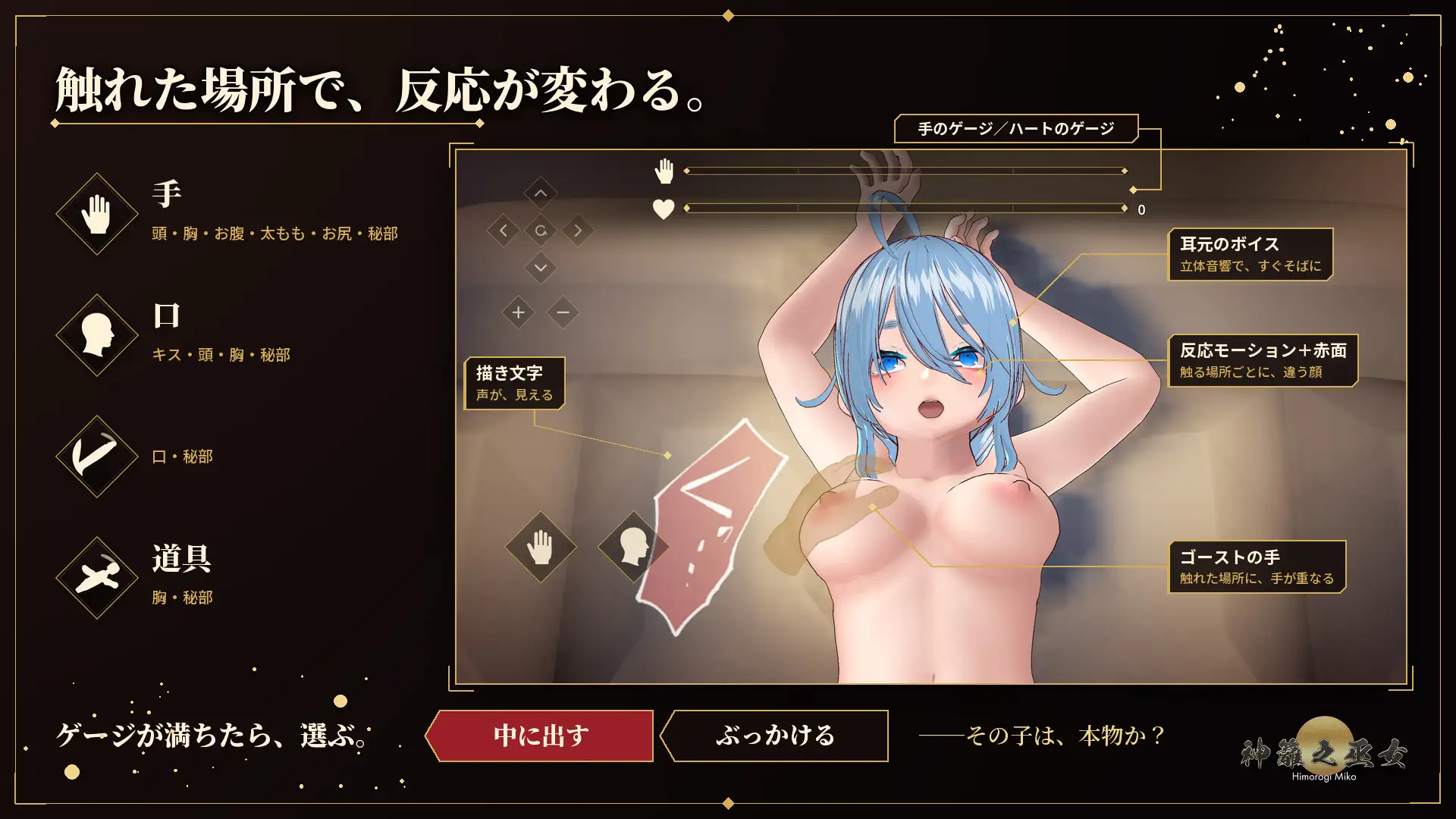[PC/触摸/官中/动态]真品向内,赝品向外.识破魅魔所化之巫女 [1+3G][百度盘]