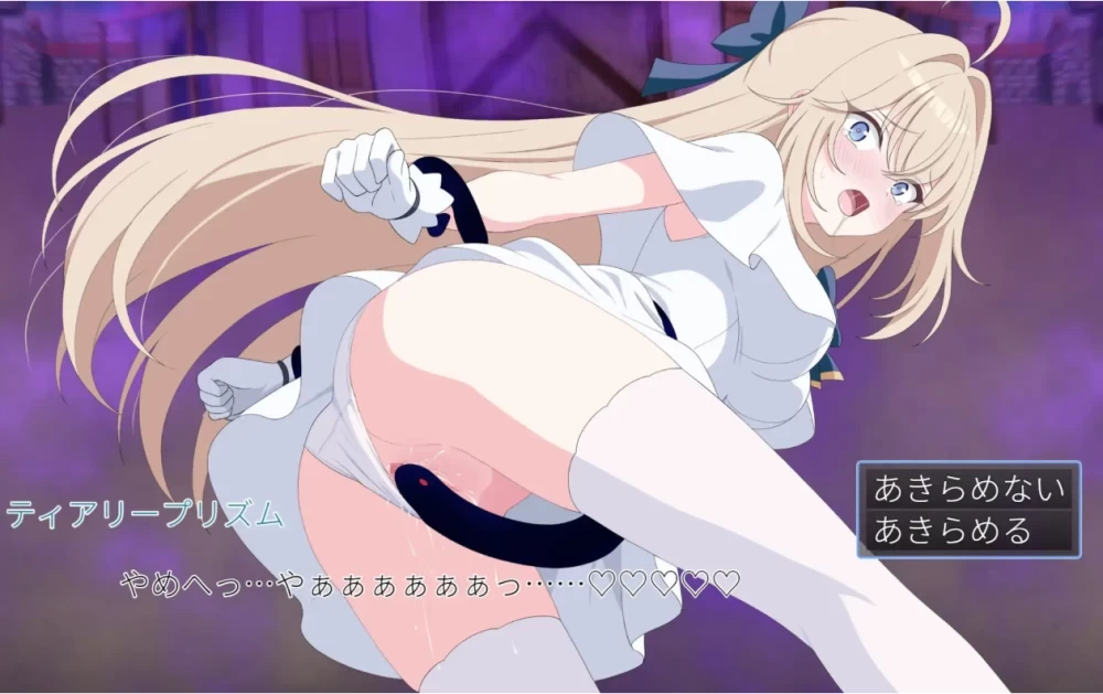 更新1.03 有新CG+存档[双端MTOOL汉化/ACT]光之公主 蒂亚莉普丽兹 [1+2G][多种下载方式]