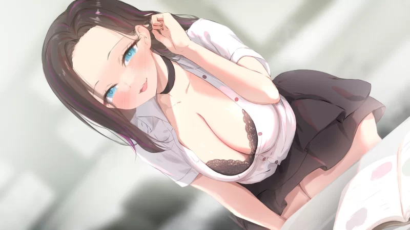 【PC/官中/NTR/动态/全CG】妈妈为何这样（He Maid Her Fall） [1+3.8g][百度盘]
