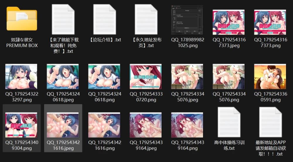【ADV/mtool可汉化/PC】【lilith soft】奴隷な彼女 PREMIUM BOX [1+439mb][百度盘]